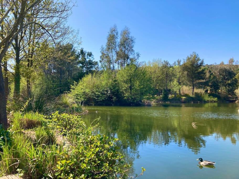 Les Restanques Cabriere 3123 Vue Mer 3 Chambres Grimaud Eksteriør billede