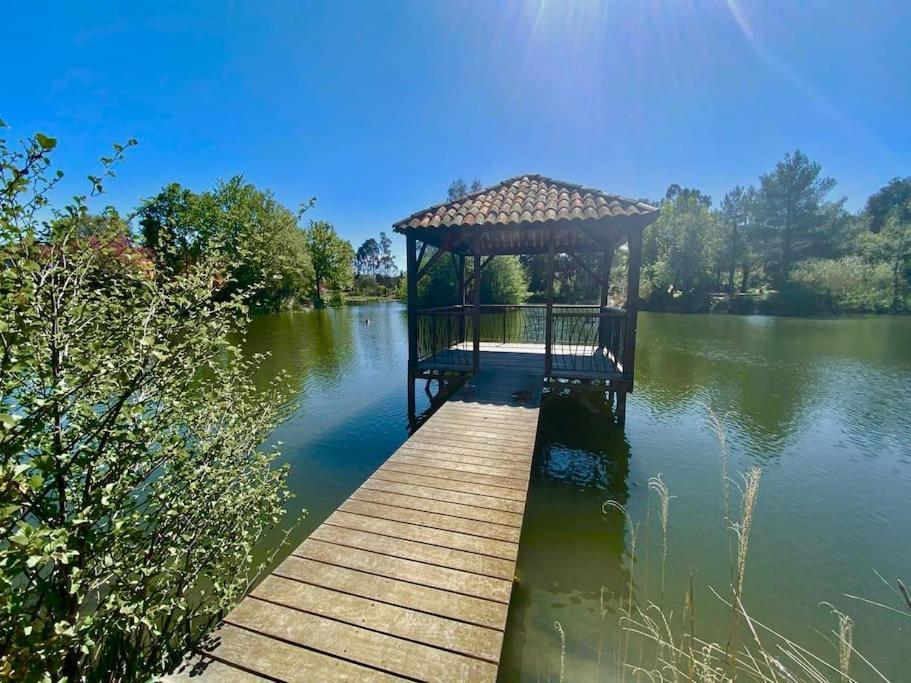 Les Restanques Cabriere 3123 Vue Mer 3 Chambres Grimaud Eksteriør billede